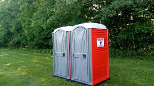 Best Portable Toilets for Disaster Relief Sites  in Long Prairie, MN