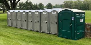 Best Standard Portable Toilet Rental  in Long Prairie, MN